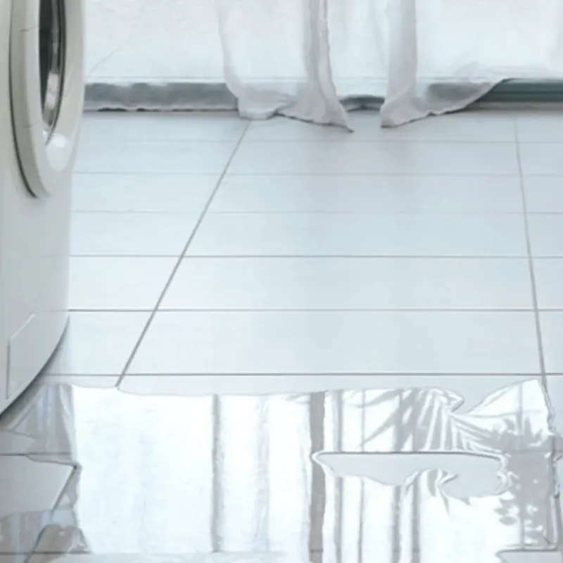 Appliance Leak Cleanup in Tuscumbia, AL