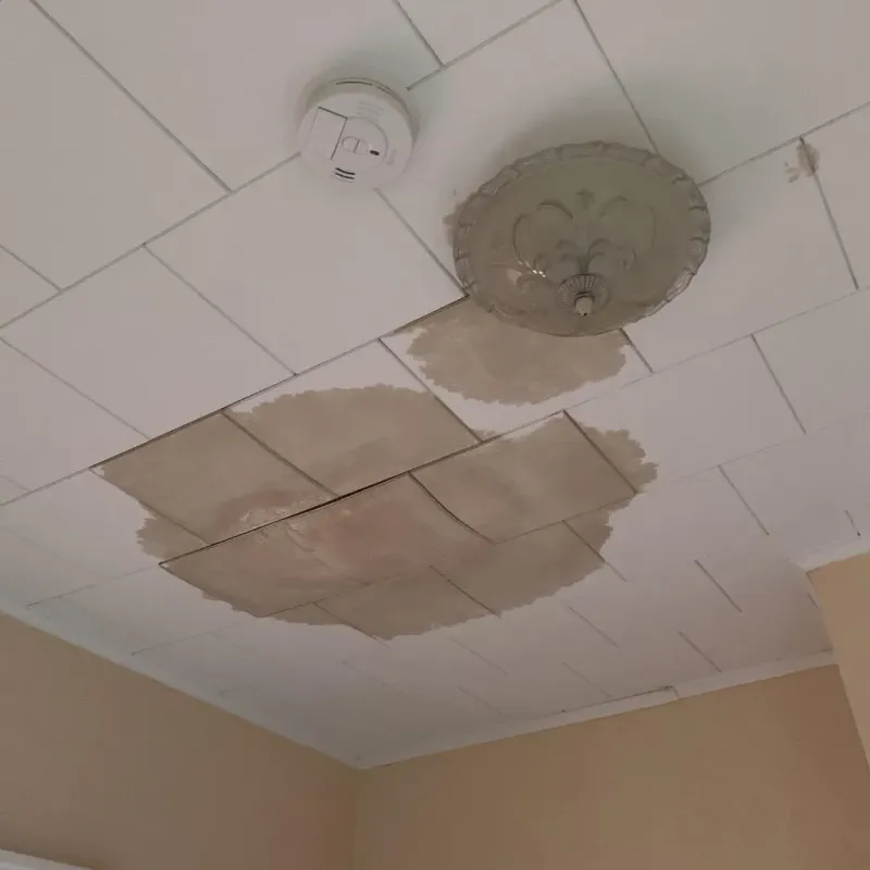 Ceiling Water Damage Repair in Tuscumbia, AL