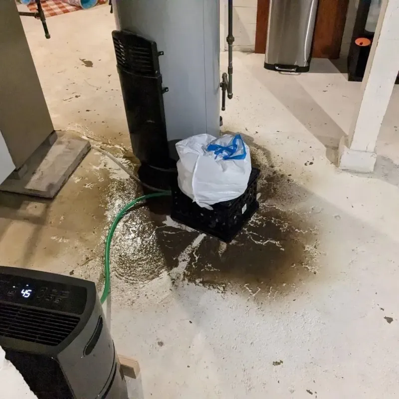 Sewage Backup Cleanup Service in Tuscumbia, AL